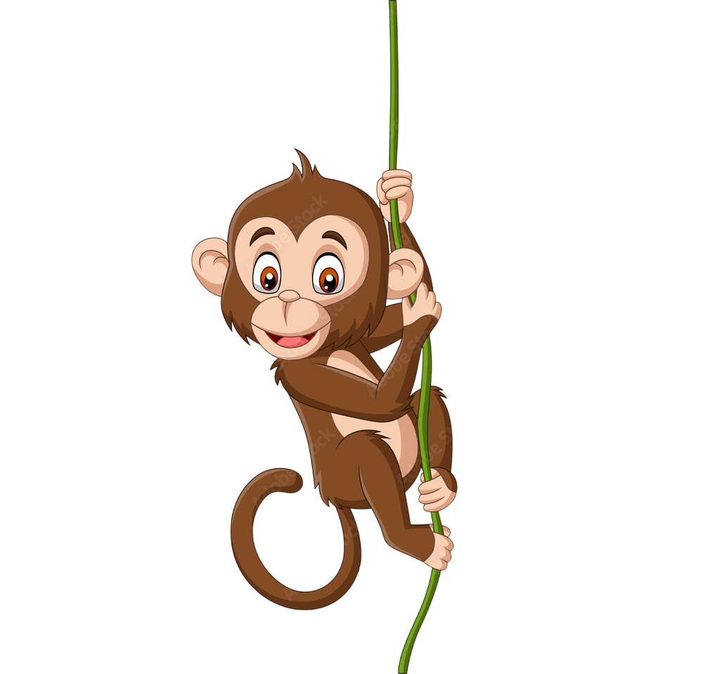 hanging monkey